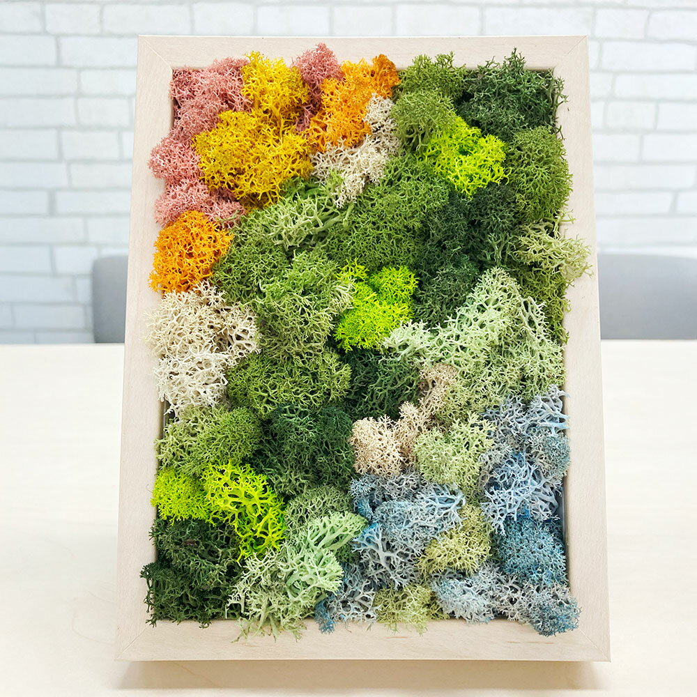 【ふるさと納税】 スカンディアモス アートワーク 枠カラー：バーチ調 （19.6cm×14.8cm×H4～5cm） 北欧 天然素材 メンテナンス不要 水やり不要 インテリア 雑貨 植物 自然 壁飾り 壁掛け 卓上 おしゃれ 室内 神奈川県 大和市 送料無料 【5月上旬発送開始予定】