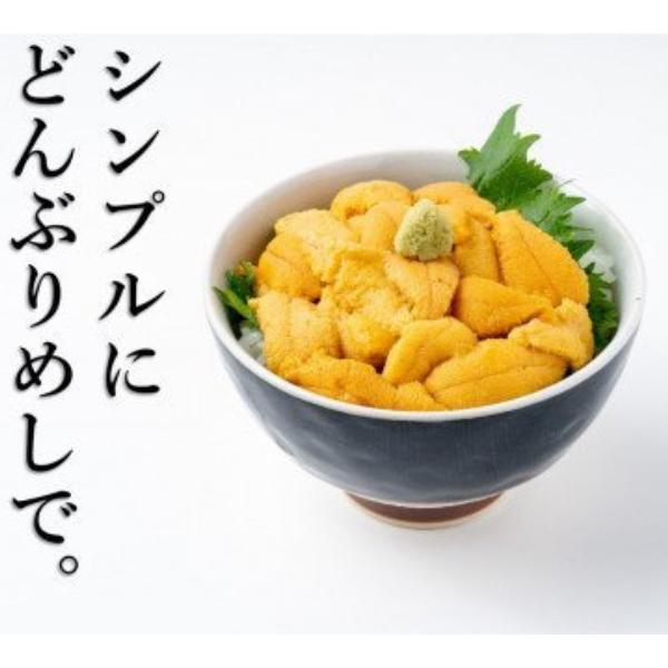 三陸産生うに100g×3パック【令和8年6月発送】【配送日指定不可】【35】初栄丸