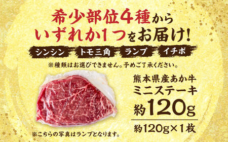 熊本 あか牛 ミニステーキ 約120g（約120g×1枚）【合同会社 たべたせいか】[AYCB061]
