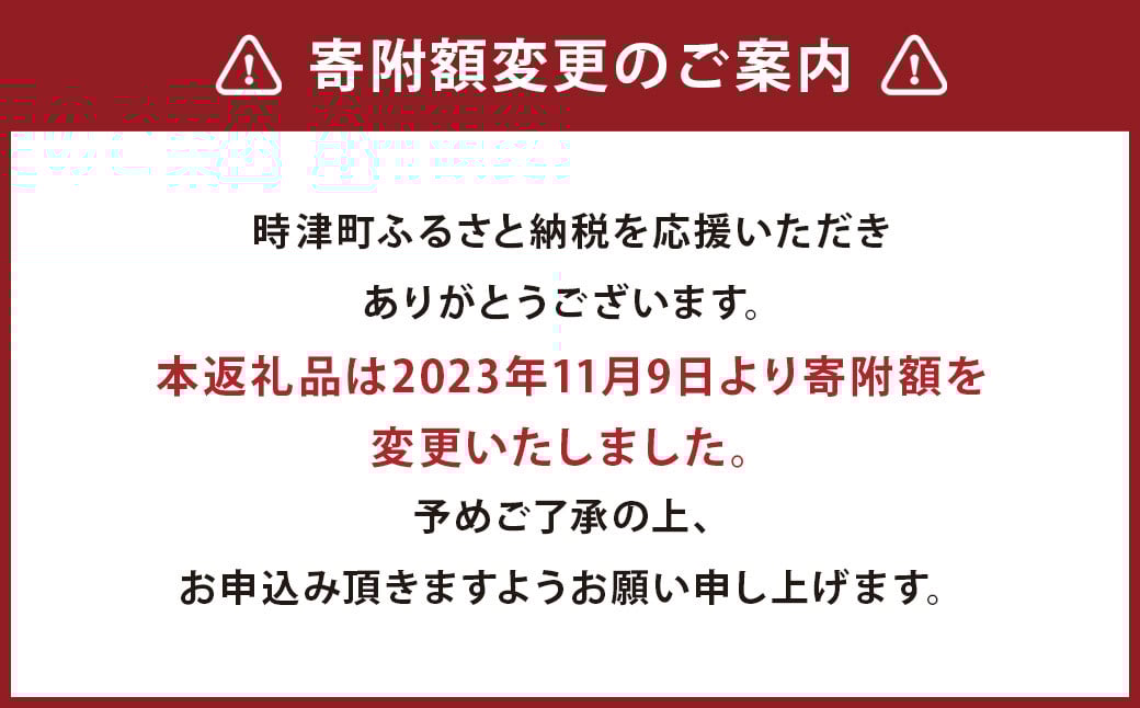 長崎県産 本マグロ「赤身」約500g