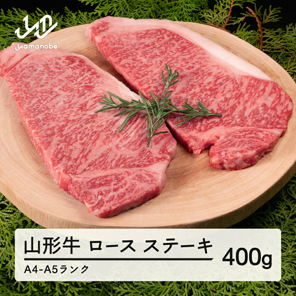 【ふるさと納税】 山形牛 ロース ステーキ 2枚 計400g 送料無料 A4-A5ランク 冷凍 高橋畜産 tc-gnrxt400 ※沖縄・離島への配送不可