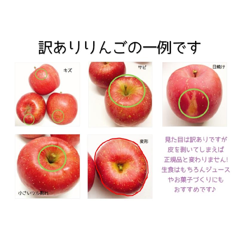 【2025年9月中旬発送】訳ありりんご約3kg（7～12個程度）|おまかせ品種|青森県五所川原市
