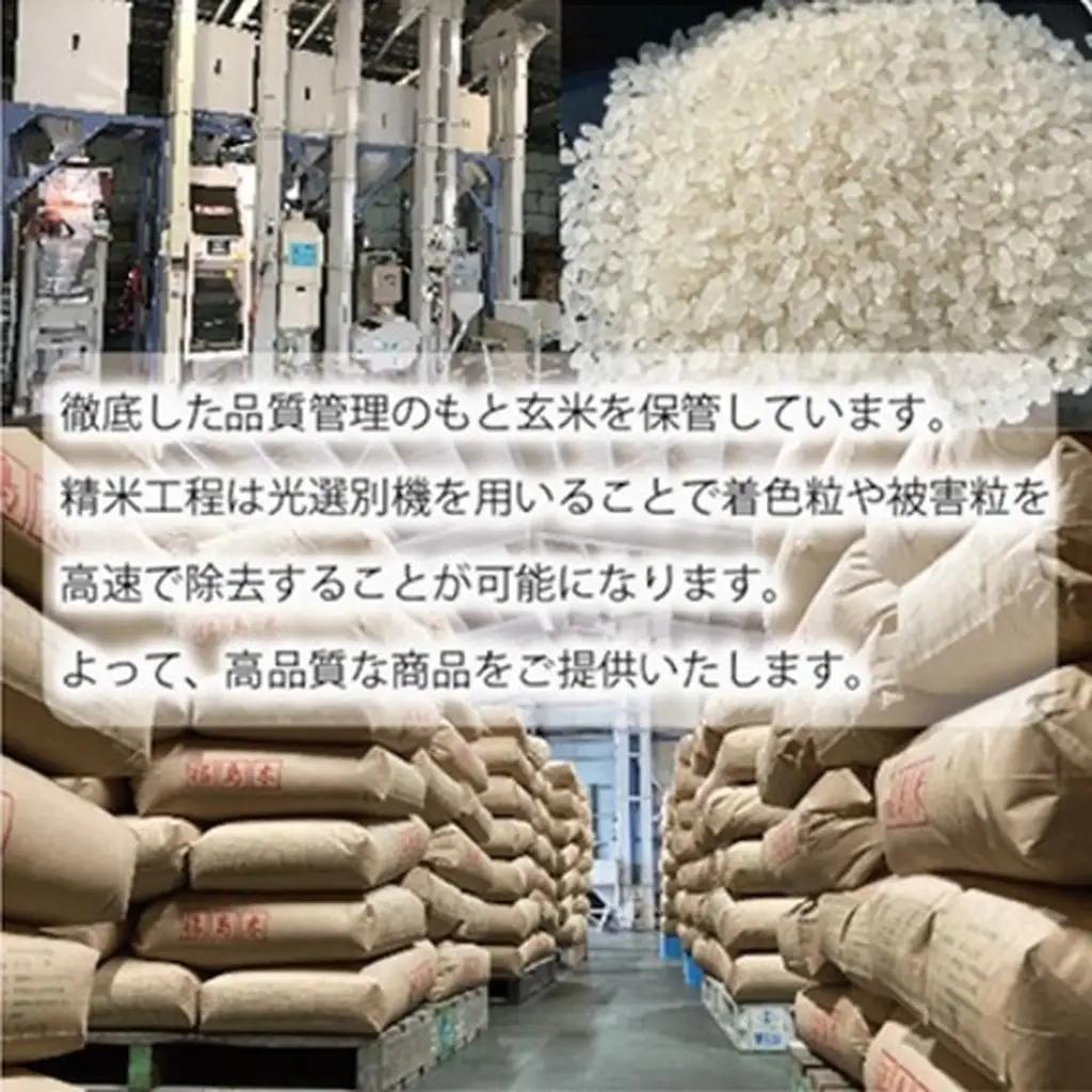 コシヒカリ 米 あさか舞コシヒカリ 5kg 令和7年 福島