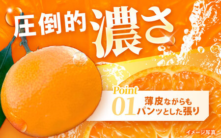 【食べる濃厚ジュース】佐瀬みかん 10kg / みかん ミカン 蜜柑 オレンジ 柑橘 フルーツ ふるーつ 果物 くだもの みかんジュース 甘い / 諫早市 / 一正[AHFL002]
