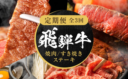 【定期便】全3回 飛騨牛 定番（ステーキ /焼肉 / すき焼き） | 定期便 MZ102