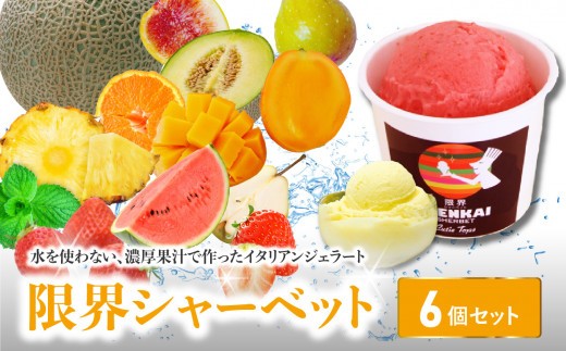 
                  限界シャーベット 6個セット 水不使用 デザート 味 旬 果物 ジェラート アイス フルーツ 果肉 大分 J06018
                