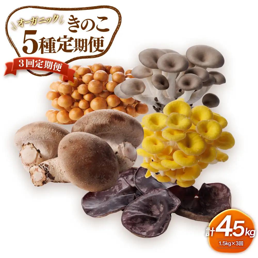 【3回定期便】オーガニックきのこ５種を３回に分けてお届け1.5kg×3　計4.5kg 【鳥取県 境港市】