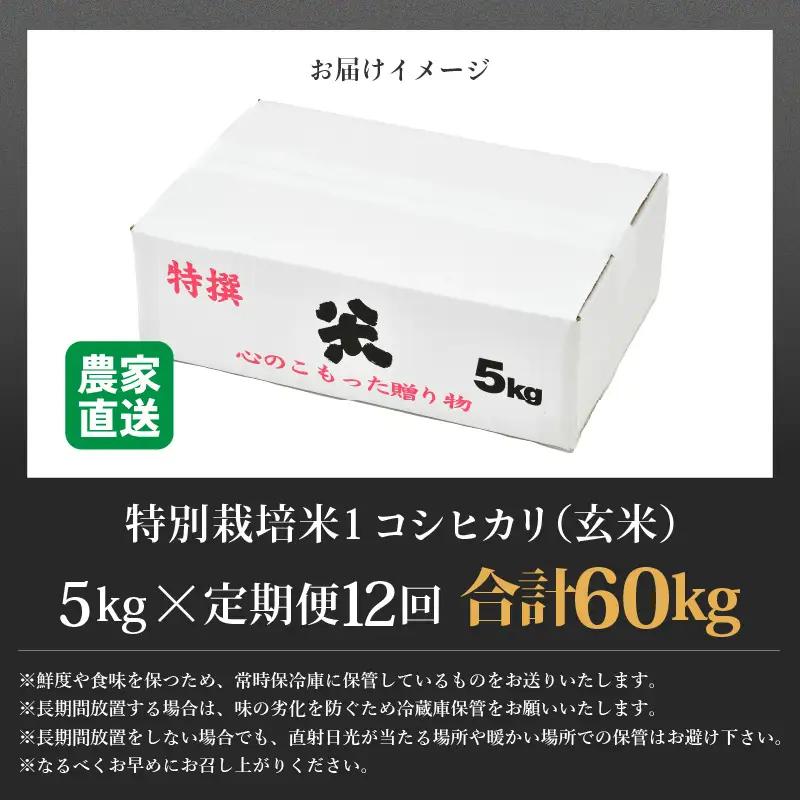 【先行予約】【令和8年産 新米】定期便《12ヶ月連続お届け》コシヒカリ 玄米 5kg （計60kg）特別栽培米 農薬不使用 化学肥料不使用 ／ 残留農薬ゼロ 高品質 鮮度抜群 福井県産 ブランド米 玄