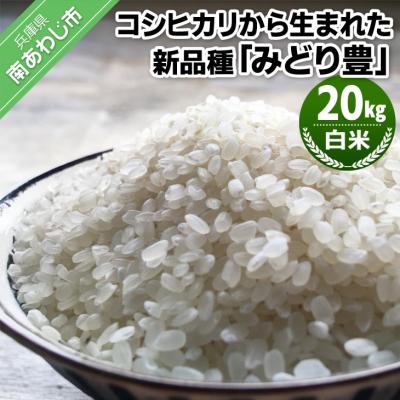 ふるさと納税 南あわじ市 令和6年産・白米『みどり豊』20kg　10月初旬以降から発送