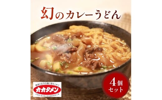 幻のカレーうどん カレーうどん うどん 4食 オオタメン 太田製麺所 製麺所 個包装 簡単調理 冷凍 めん 麺 4人前 できたて こだわり 大阪府 松原市