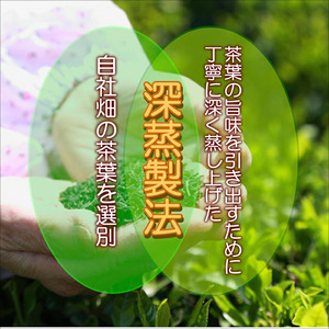 松浦茶セット(特上100g×1　高級100g×1) 深蒸し茶 お茶 緑茶 茶 ミネラル 日本茶 セット 深蒸し茶 お茶 緑茶 茶  特上 高級 特上お茶 深蒸し茶 お茶 緑茶 茶  高級お茶 茶葉 ま