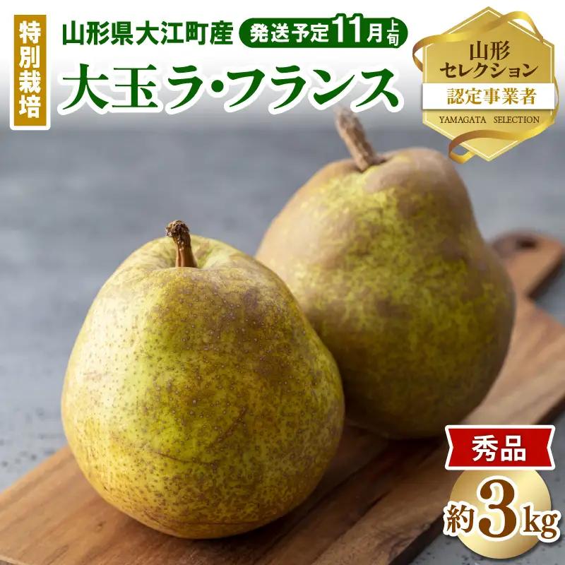 《先行受付》特別栽培 大玉 ラフランス 約3kg・秀品4L～3L 【2026年11月上旬頃～発送予定】 025-016