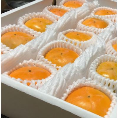 ふるさと納税 橋本市 【先行受付】贈答用　たねなし柿　3kg |  | 01