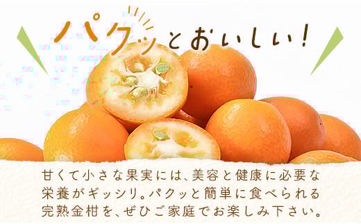 【先行予約】宮崎県西都市産 完熟きんかん 1kg（3L～L）＜1-233＞W