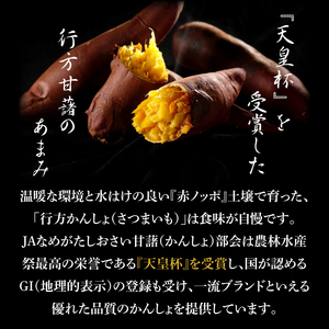 ～GI登録「さつまいも」使用～「行方かんしょとれんこんのカレー」18個＆「パックご飯・赤飯」各9個セット｜カレー レトルト レトルトカレー パックご飯 ごはん レンジ コシヒカリ 赤飯 非常食 ご当地
