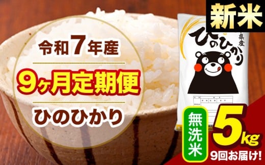 新米 令和7年産 無洗米 【9ヶ月定期便】 ひのひかり 5kg《お申込月の翌月から出荷開始》熊本県 大津町 国産 熊本県産 ヒノヒカリ こめ お米