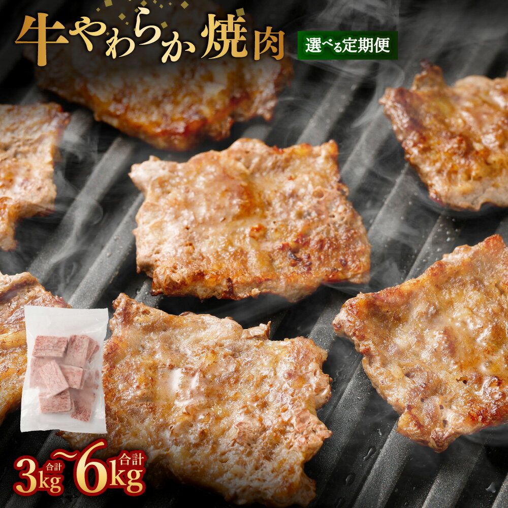 【ふるさと納税】＜選べる定期便＞牛やわらか焼肉 1回あたり500g×2パック 計1kg 1ヶ月毎 3回 計3kg 6回 6kg 牛肉 お肉 焼き肉 冷凍 熊本県 あさぎり町 送料無料