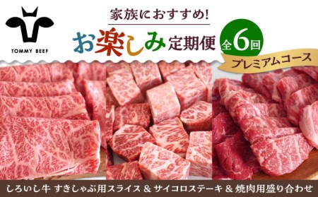 【6回定期便】家族向け お楽しみ 定期便プレミアム/ 牛肉 お肉 肉 ハンバーグ 切り落とし 炒め物 贅沢 九州 [IAH213]