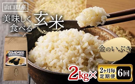 ＜先行予約＞《2ヶ月毎定期便 全6回》美味しく食べる玄米 2kg×6 計12kg 12月上旬より発送 玄米 金のいぶき 定期便 ご当地 グルメ 食品 F6L-636