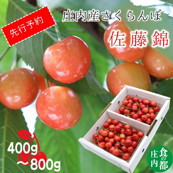 【ふるさと納税】★先行予約★【令和8年産】食の都庄内　庄内のさくらんぼ「佐藤錦」Lサイズ　バラ詰め　400g　500g　600g　800g　※令和8年6月中旬～下旬頃発送予定（有限会社庄内旬青果）