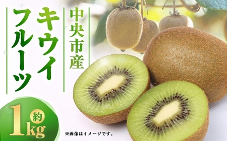 中央市産 キウイフルーツ （ ヘイワード ） 約1kg フルーツ 果物 くだもの キウイ 国産 山梨県産 旬の果物 【 2026年12月下旬発送予定 】