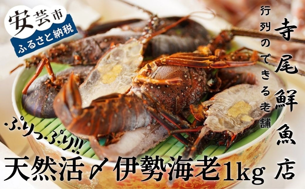 
22-(8) 天然活〆伊勢海老1kg（冷凍）【ご家庭用】
