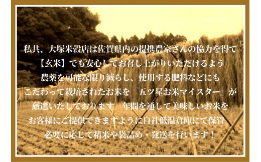 CI548　みやき町産「特選さがびより」精米4.5kg