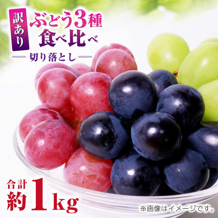 【ふるさと納税】【先行予約】訳あり ぶどう3種 食べ比べ 切り落とし 計約1kg 【合同会社 社方園】[ZBZ009] ブドウ 葡萄 おすすめ 国産 熊本県 山鹿 果物 くだもの フルーツ 人気 ランキング ブランド キャンペーン 特産品 種類 産地 九州 食品 季節 評価 口コミ 送料無料