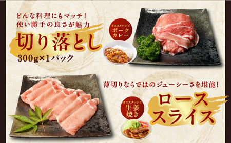 丸善味わい加工 国産 豚肉 4種セット 定期便 1.2kg×3回 小分け【毎月配送コース】