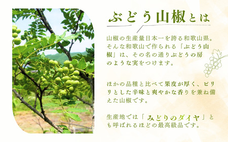 山椒 さんしょう 生山椒 生さんしょう 調味料 スパイス 香辛料 / ぶどう生山椒 500g【予約受付・数量限定】【twn007-1】