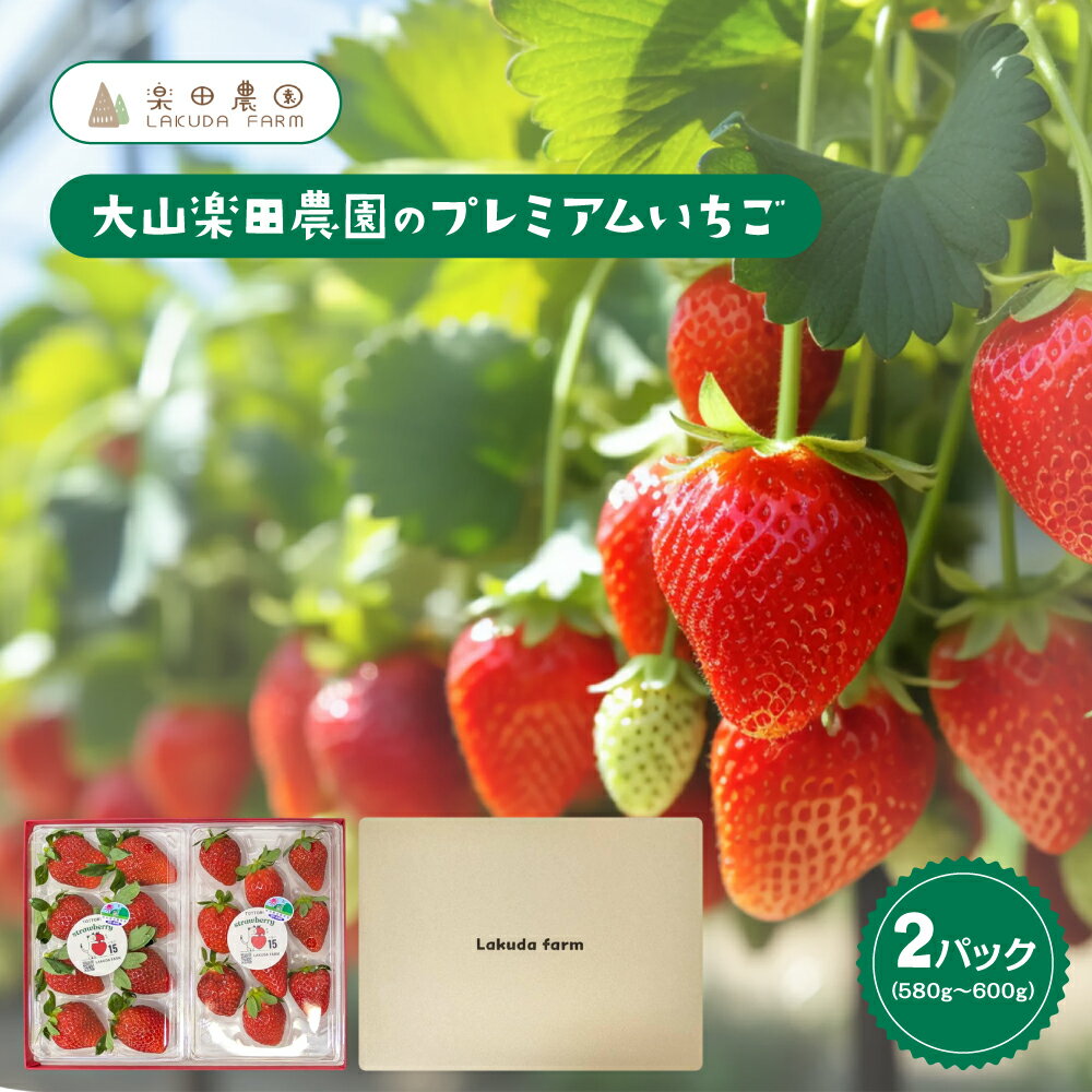 【ふるさと納税】大山楽田農園のプレミアムいちごプランA いちご イチゴ フルーツ 果物 鳥取県 鳥取県産 大山町 大山 お土産 返礼品 国産 ご当地【2026年1月以降発送】