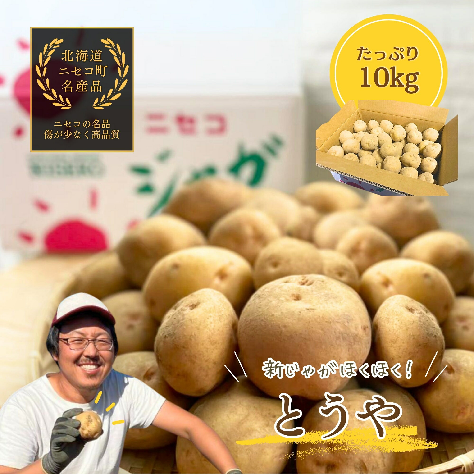 【ふるさと納税】《2025年分受付中》なめらかな舌触りに感動!北海道ニセコ名産「とうや」新じゃが10kg/高橋農園【3700601】