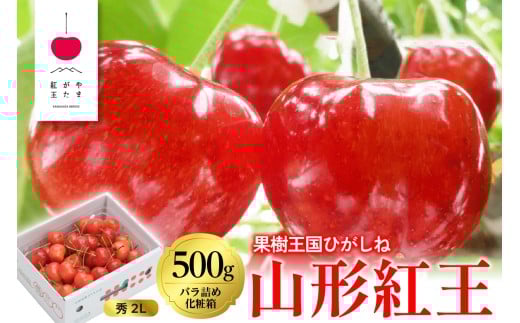2026年 「やまがた紅王」500g バラ詰め 秀品 2Lサイズ 東根農産センター提供 山形県 東根市 hi027-231