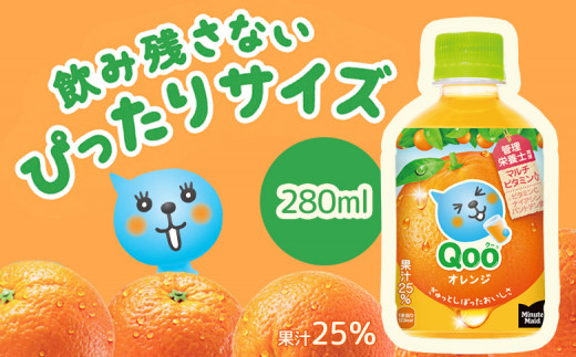 【定期便：全6回】ミニッツメイド Qoo オレンジPET　280ml×24本
