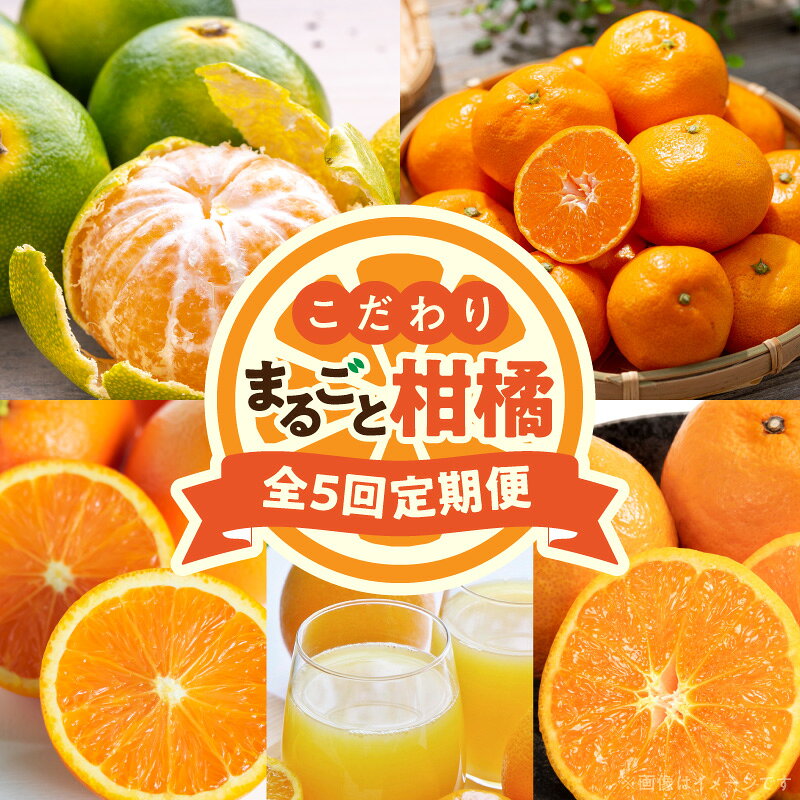 【ふるさと納税】定期便 柑橘 5回 カラマンダリン バレンシアオレンジ 有田みかん YN26 サイズおまかせ 約5kg 果汁100%ジュース 詰め合わせ 1L 3本 農家直送 希少 国産 フルーツ 果物 お取り寄せ 和歌山県 湯浅町 送料無料