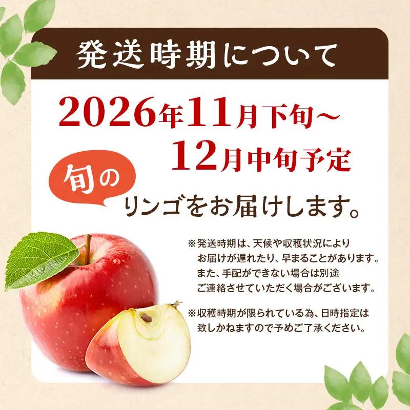 りんご サンふじ 小玉 約10kg 林檎 リンゴ