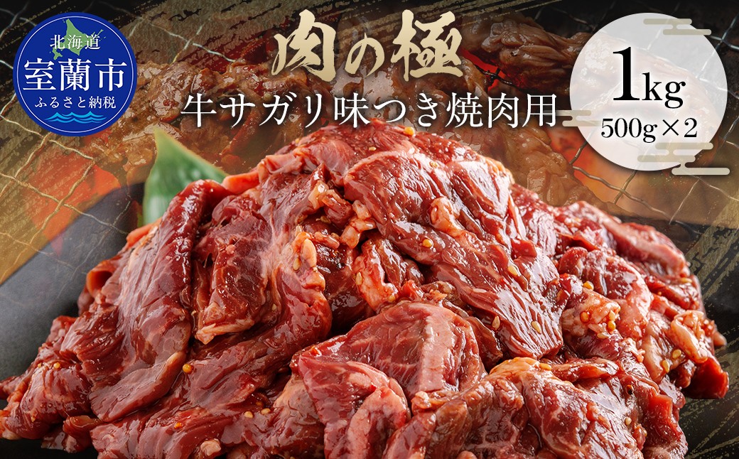 
                  牛サガリ味つき焼肉用 1kg (500g×2) 【 ふるさと納税 人気 おすすめ ランキング 肉 牛肉 牛サガリ 牛 1kg にく ニク 味付き 焼肉 バーベキュー BBQ 北海道 室蘭市 送料無料 】 MROBM002
                
