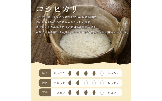 【精米】栃木県産 コシヒカリ 5kg×3袋 合計15kg