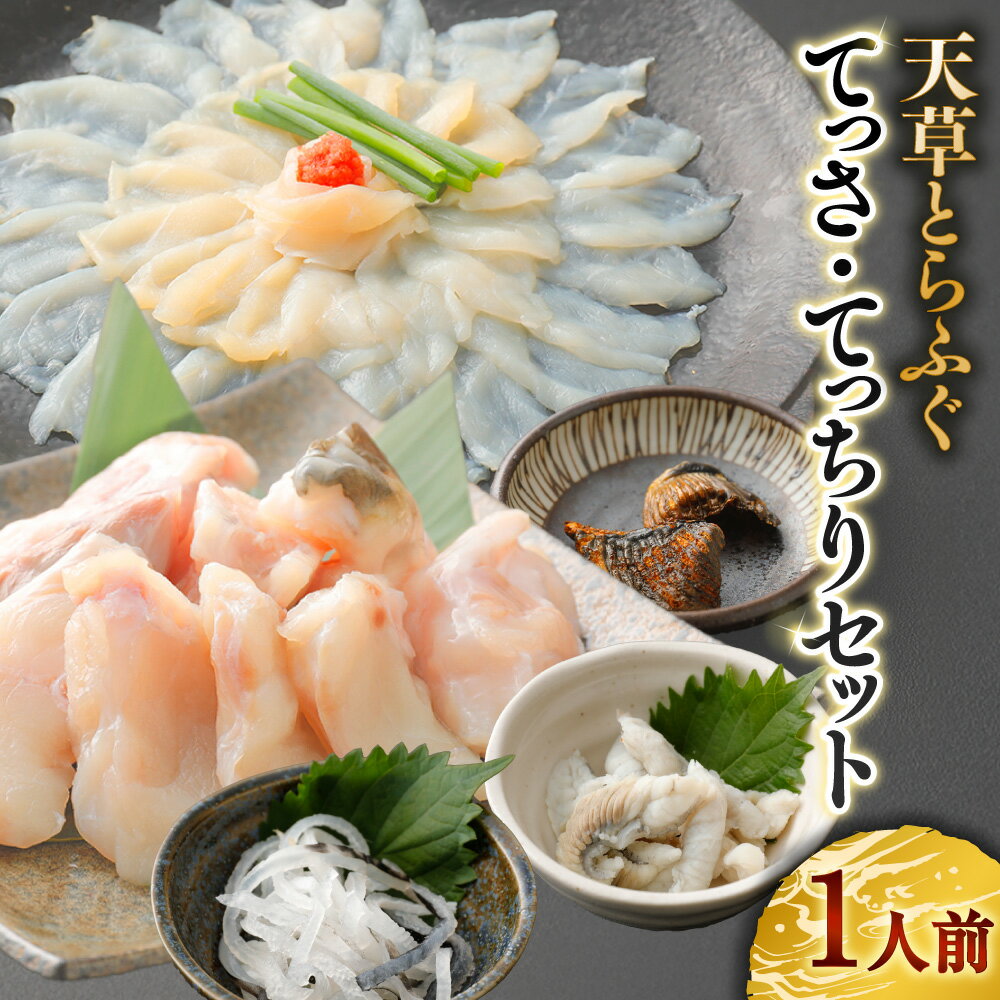 【ふるさと納税】天草とらふぐてっさ・てっちりセット 1人前 とらふぐ トラフグ 刺身 皮刺し 切身 もみじおろし 刺身用ポン酢 鍋用ゆずポン酢 出汁用昆布 ひれ酒用焼きひれ 魚介類 水産物 刺し身 詰め合わせ てっさ てっちり ギフト 贈答 冷凍 国産 九州 熊本県産 送料無料