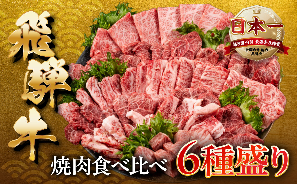 
             [A5 等級] 飛騨牛 焼肉 6種 800g 食べ比べ 飛騨牛 焼肉 やきにく ヤキニク サイコロステーキ 高級 肉 牛肉 和牛 黒毛和牛 霜降り 赤身 ギフト 贈答 熨斗 お歳暮 正月 プレゼント トキノ屋食品 本巣市 [mt1551] 30000円 三万円
          