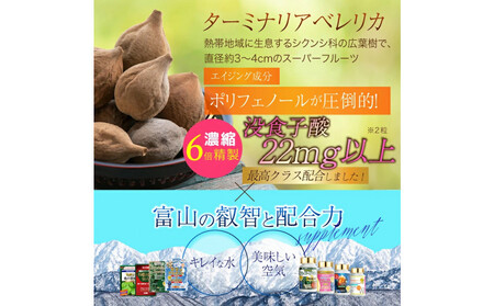 ターミナリアベレリカ サプリ 約4ヶ月分 宝蔵メディカル