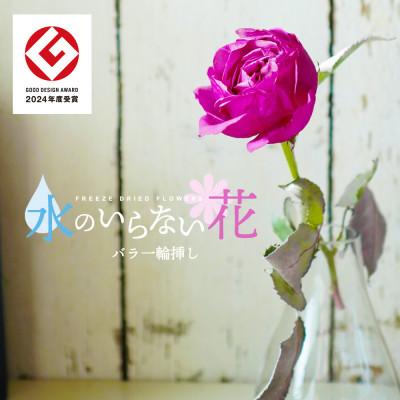 ふるさと納税 酒田市 水のいらない花　ゼロフラワー「バラ1輪挿し」フリーズドライフラワーのある暮らし