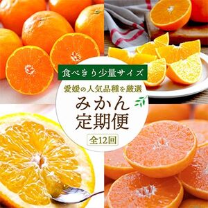 【発送月固定定期便】食べ切り少量サイズ 愛媛の人気品種!柑橘定期便(秀品)全12回【H25-156】【配送不可地域：離島】【4012890】