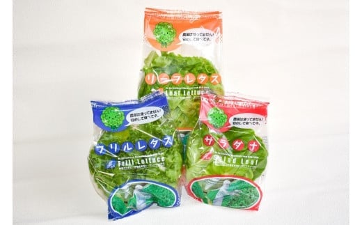 完全無農薬レタス　夢野菜詰め合わせ15袋セット サラダ菜 レタス サンドウィッチ 手巻き寿司 サラダ 新鮮 野菜 冷蔵 無農薬 カット野菜 F01003