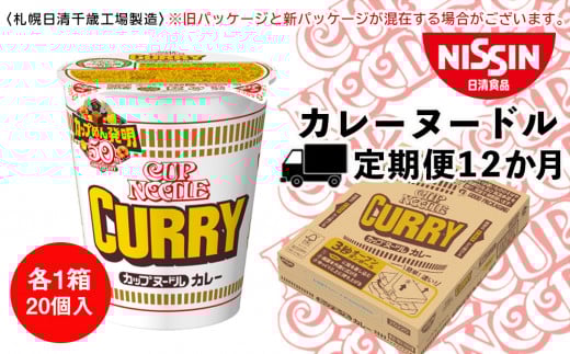 【定期便12か月】日清 カレーヌ−ドル★1箱（20食入）
