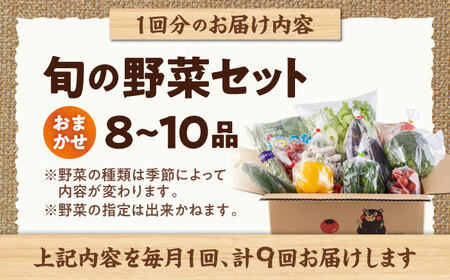 【全9回定期便】旬な野菜おまかせ詰め合わせセット【合志物産販売 志来菜彩】[AYCA005]