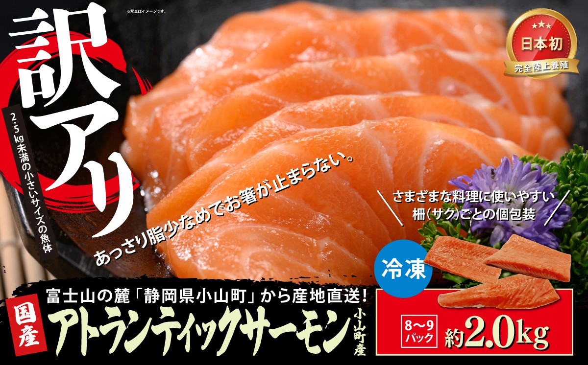 【訳アリ】小山町産 アトランティックサーモン（冷凍）8～9P 約2kg | サーモン 刺身 海鮮丼 小分け 真空パック 鮭 養殖 国産 訳あり 訳アリ わけあり 2キロ 切り身 静岡県 小山町