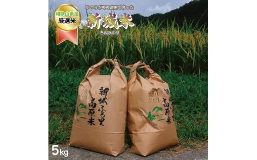 【特選】新城米(きぬひかり５kg)＜2025年収穫＞☆2025年9月下旬から2026年1月下旬に順次発送☆【A105-frks039】