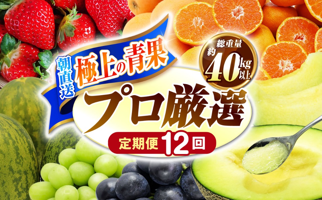 【12回コース】果物屋が選ぶ旬のフルーツ定期便 いちご メロン びわ みかん 梨 柿 など / 南島原市 / 贅沢宝庫 [SDZ023]