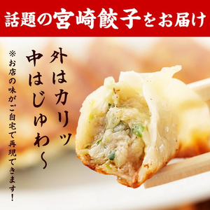 市場で製造直売の餃子！ 12パックセット 餃子 惣菜 おかず